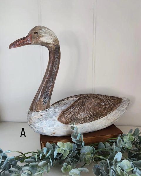 Wood Duck - A