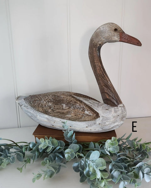 Wood Duck - E