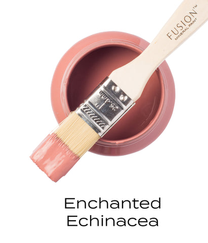 Enchanted Echinacea - Retired